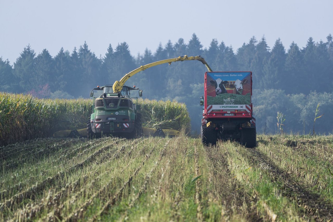 Bild 157 - Maisernte